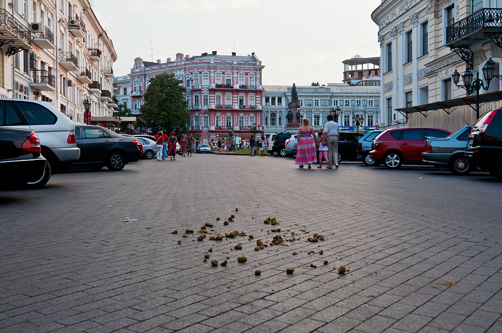 Одесса - август 2013 года (12)