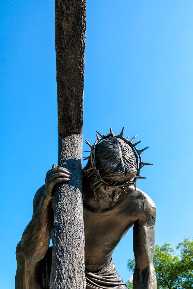 _DSC0833