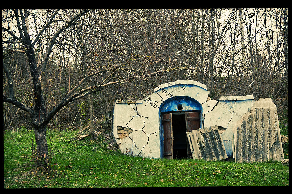 Село Плоть Рыбницкого района (10)